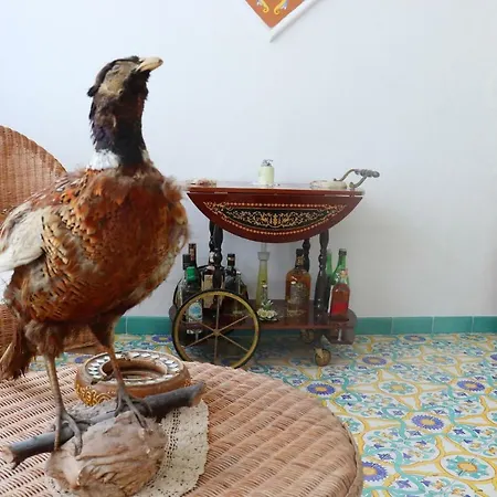 Apartment Sorrento Realty Holidays - Erika Apt Positano
